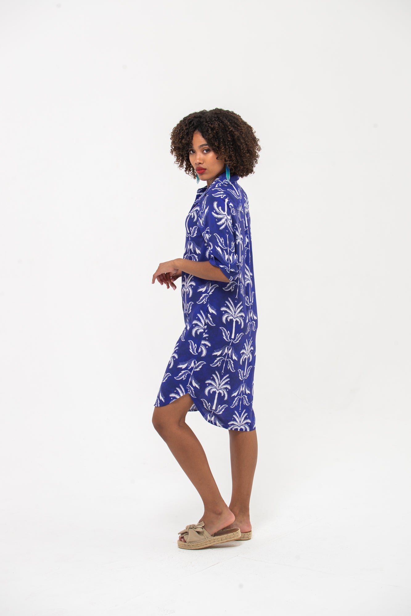 Nina Shirt Dress - Blue & White
