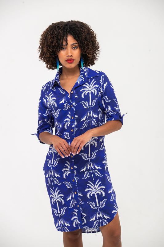 Nina Shirt Dress - Blue & White