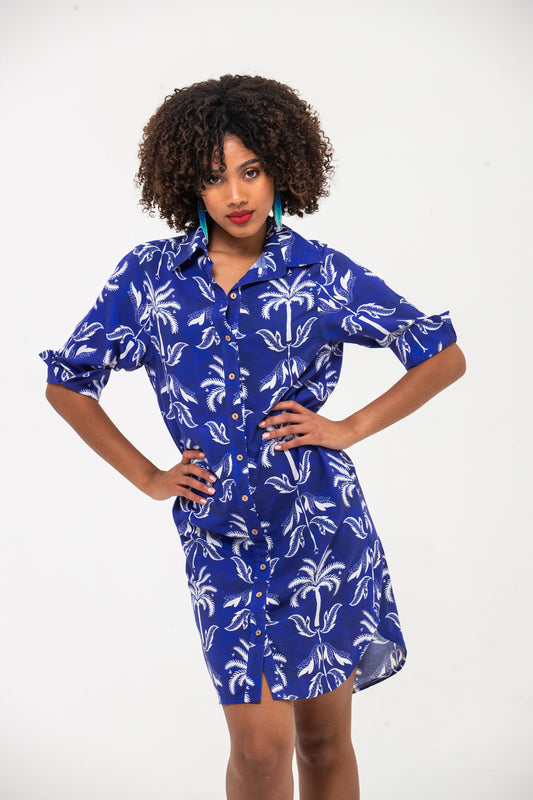 Nina Shirt Dress - Blue & White