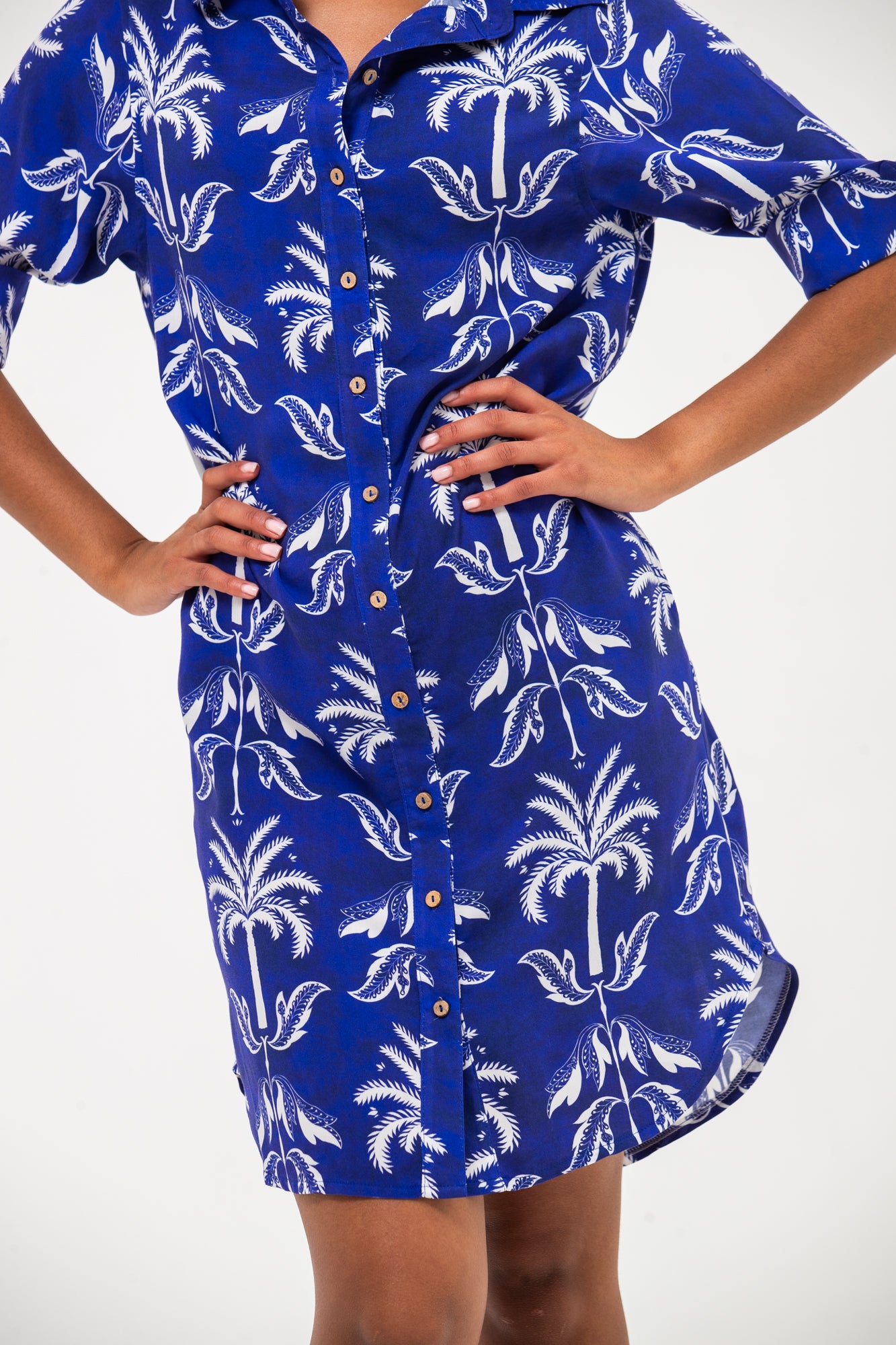 Nina Shirt Dress - Blue & White