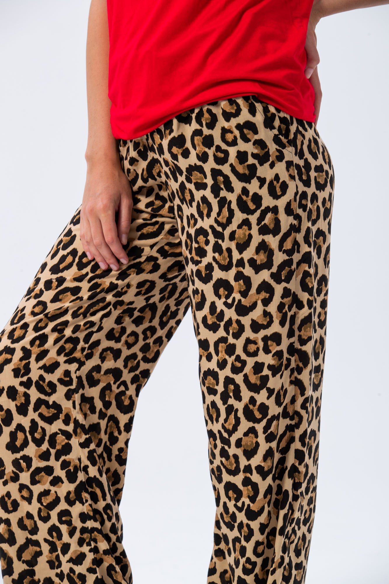 Sydney Wide Leg Pants - Animal Print