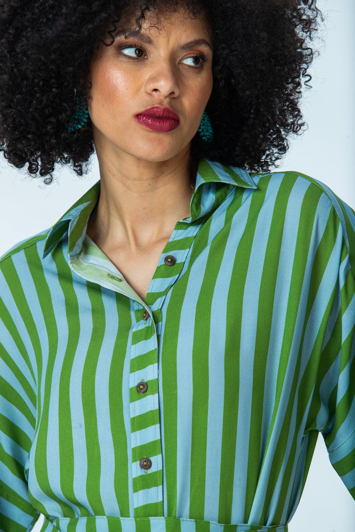 Hollis blue green stripe shirt dress, close up of collar and button placket
